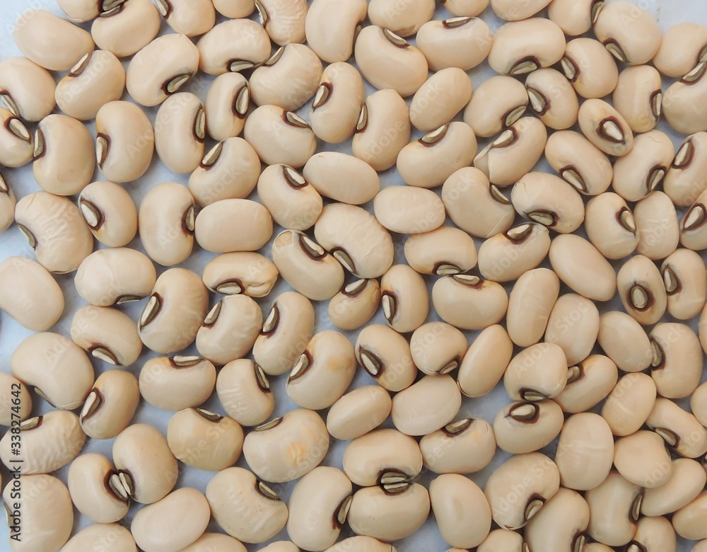 Black eyed beans in white isolated background. It is a subspecies of