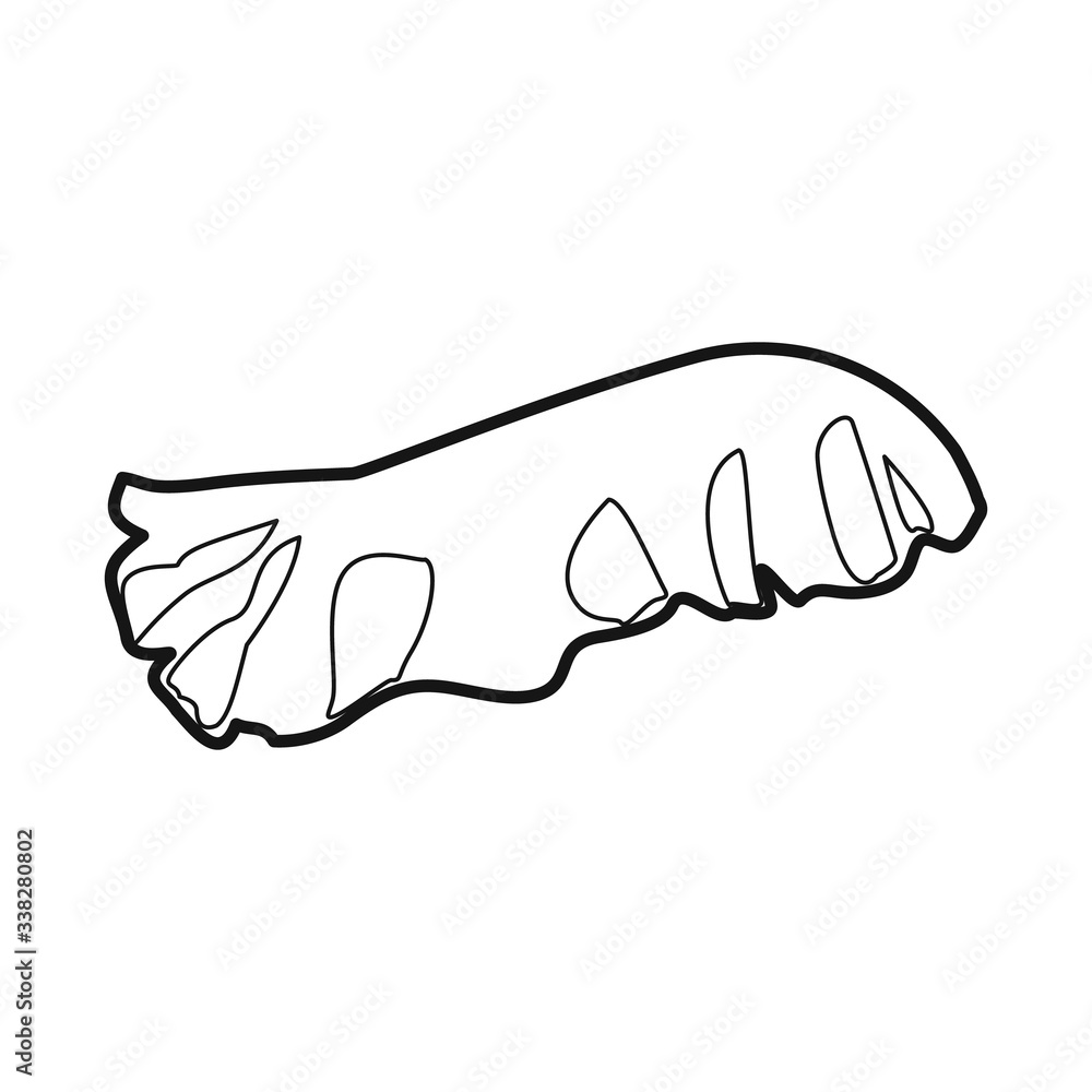 Vector design of lettuce and leaf icon. Web element of lettuce and diet stock symbol for web. Vector design of lettuce and leaf icon. Web element of lettuce and diet stock symbol for web.