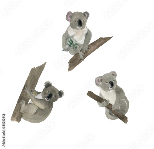 Watercolor painting set of cute koala bears isolated on white photo