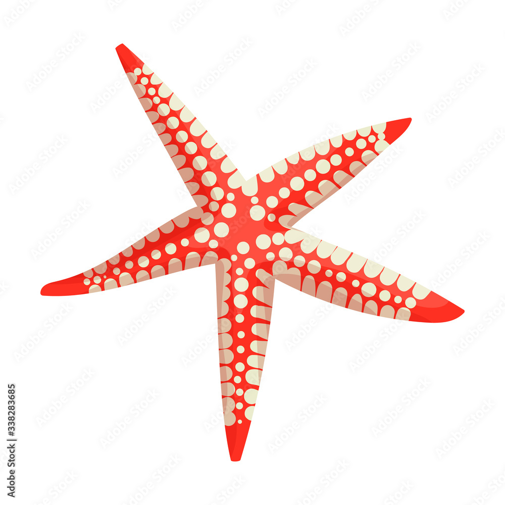 Starfish vector icon.Cartoon vector icon isolated on white background starfish. Starfish vector icon.Cartoon vector icon isolated on white background starfish.
