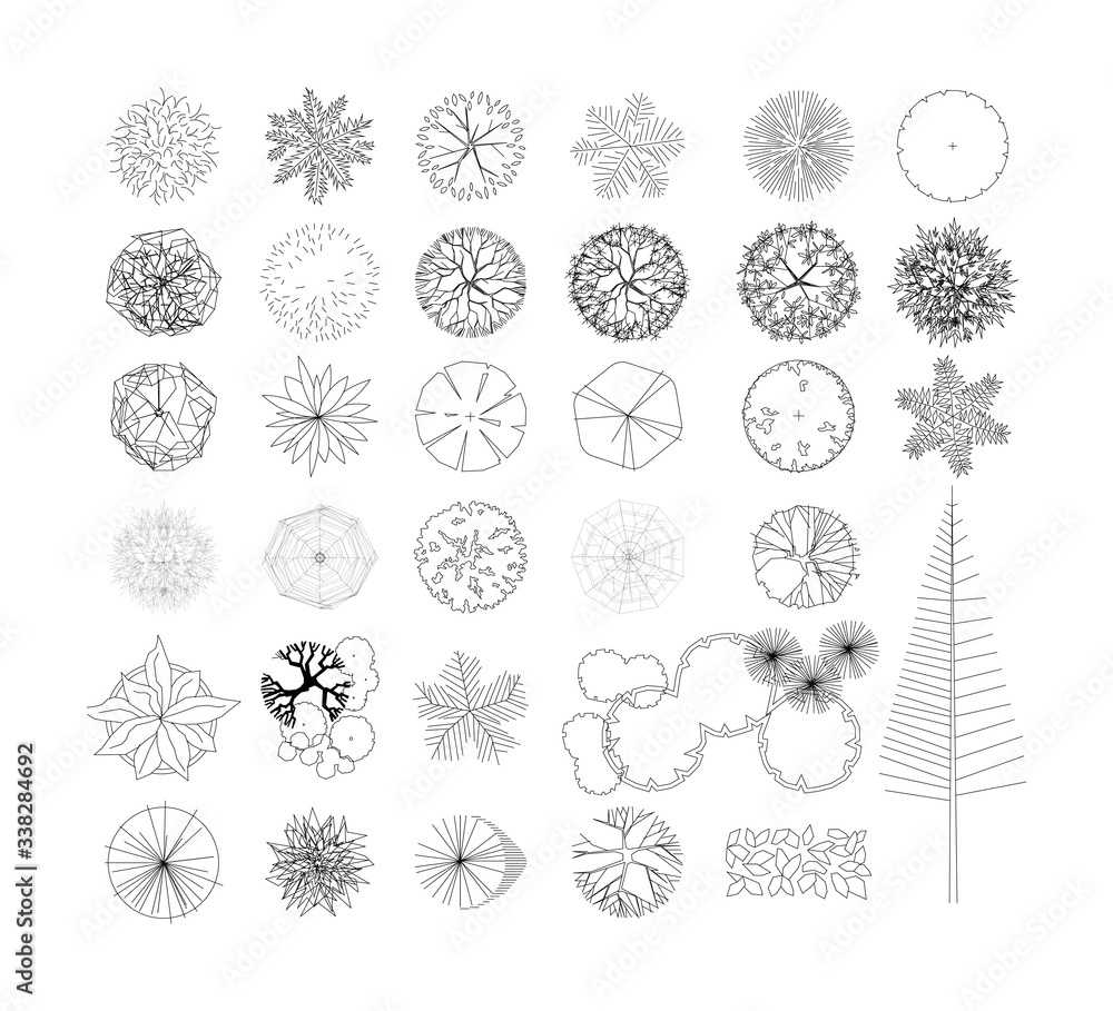 Top view and side view, set of graphics trees elements outline symbol for architecture and landscape design drawing. Vector illustration