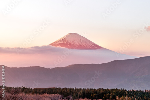 Fototapeta mt fuji at sunset