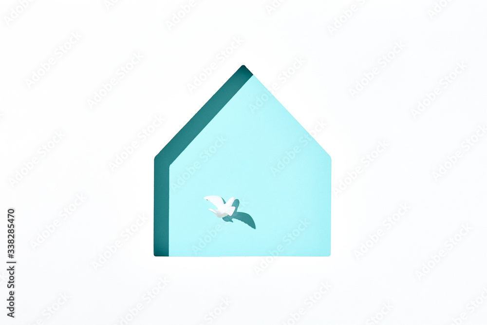 Minimal creative layout with white dove and house shape