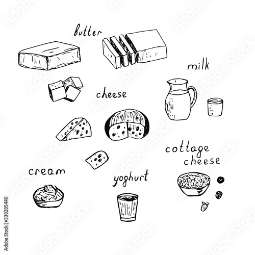 Set of dairy products, vector illustration, butter, milk, cottage cheese, cheese, cream, yogurt and berries