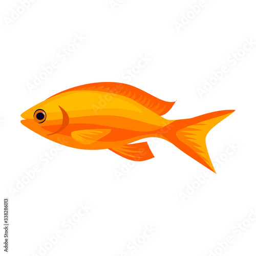 Tropical fish vector icon.Cartoon vector icon isolated on white background tropical fish.