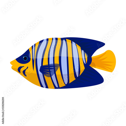 Tropical fish vector icon.Cartoon vector icon isolated on white background tropical fish.