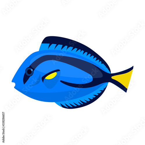Tropical fish vector icon.Cartoon vector icon isolated on white background tropical fish.