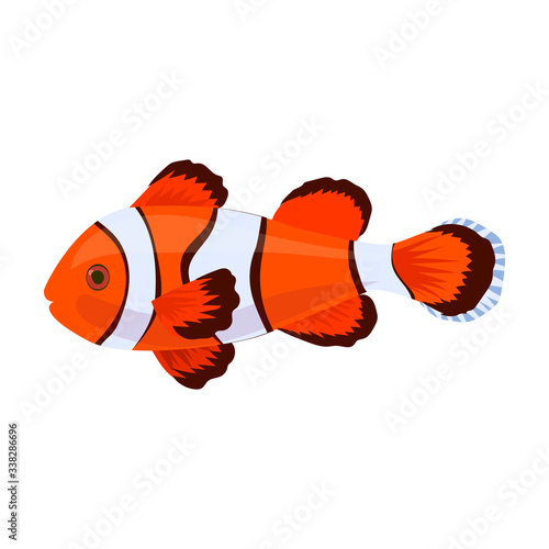 Tropical fish vector icon.Cartoon vector icon isolated on white background tropical fish.