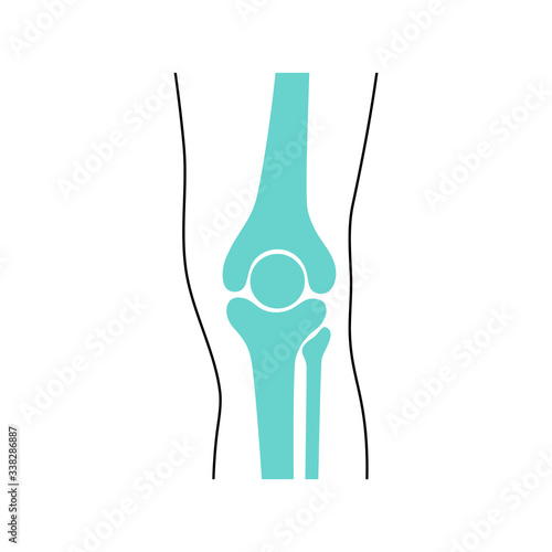 Photography Knee Joint and meniscus anatomy