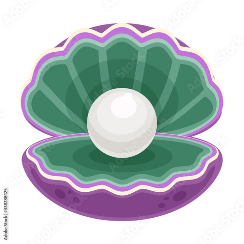 Pearl shell vector icon.Cartoon vector icon isolated on white background pearl shell.