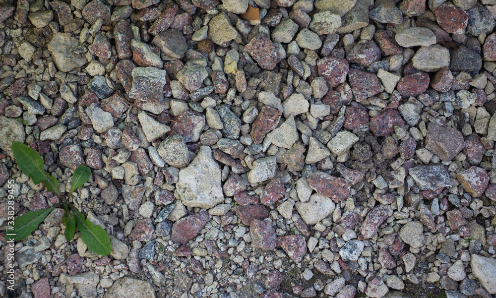 Crushed stone and multi-colored stones close-up element for the designer. Background like texture. Green grass breaks through the stones Crushed stone and multi-colored stones close-up element for the designer. Background like texture. Green grass breaks through the stones
