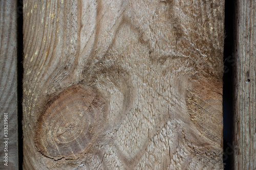Wood coating in macro shot. Tree close up. A wooden board in macro shot. Background like texture.