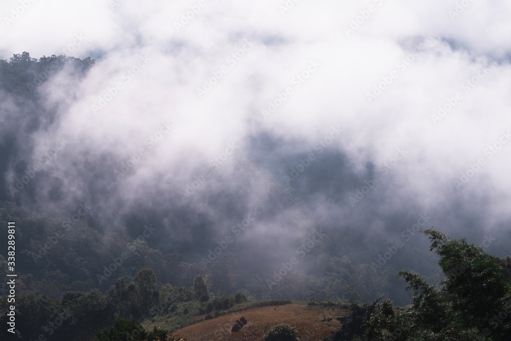 misty morning on the mountains misty morning on the mountains