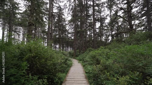 Walking through the forest on a boardwalk in Tofino British Columbia, Canada photo