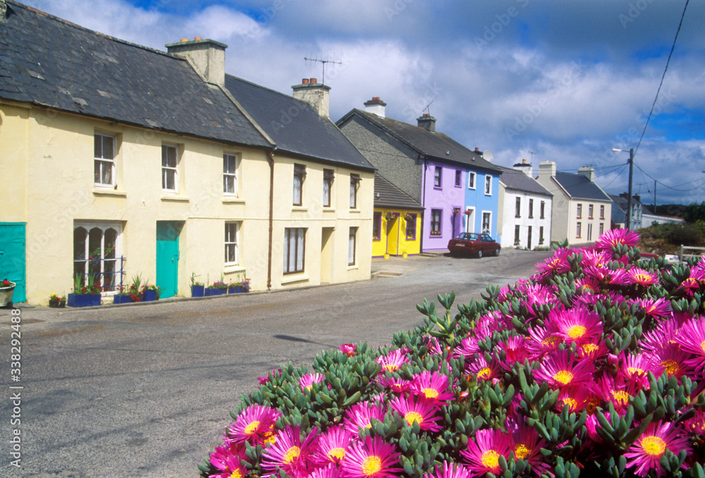 Beautiful flowers And Eyeries Village, West Cork, Ireland