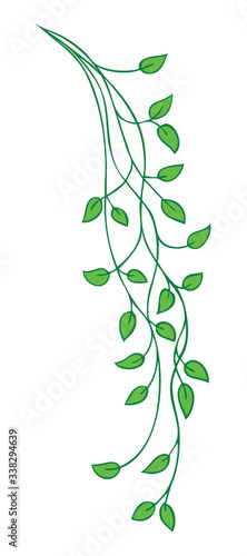Hanging branch of leaves in nature vector design, pretty pattern of ivy vines in a border or corner design element for flower shops or floral illustrations, vector colors are editable
