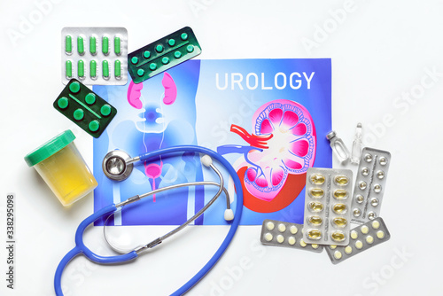Picture of urogenital syste...