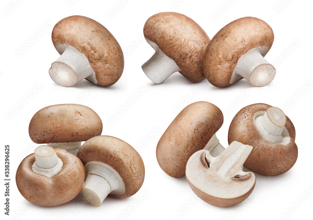Collection of delicious champignon mushrooms, isolated on white background Collection of delicious champignon mushrooms, isolated on white background