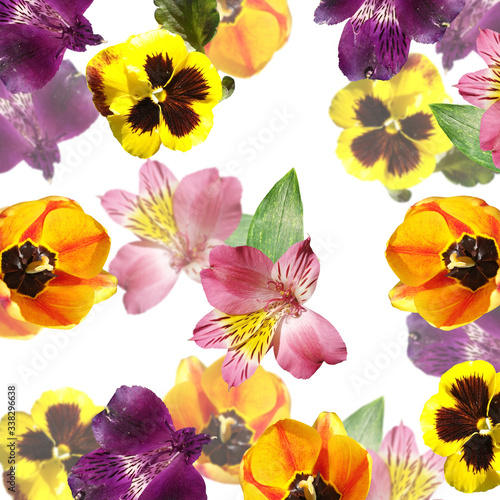 Beautiful floral background of tulips, alstroemeria and pansies. Isolated © Ann-Mary