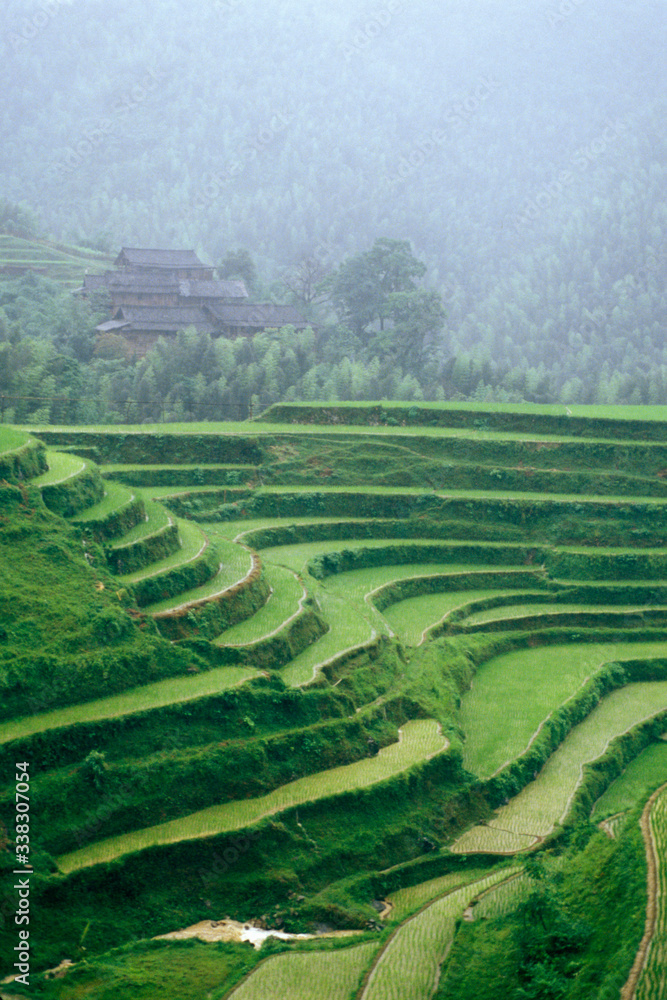 Terraced rice fields, Longshen near Guilin, Guangxi Province, People's Republic of China