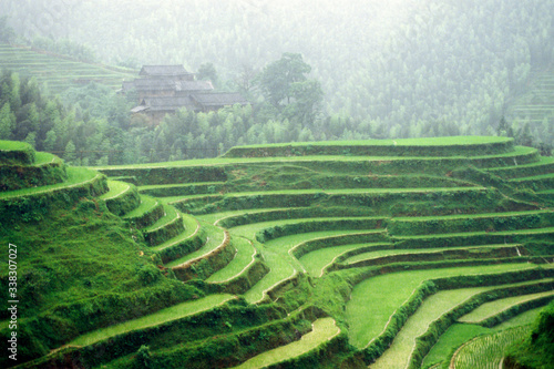 Terraced rice fields, Longshen near Guilin, Guangxi Province, People's Republic of China