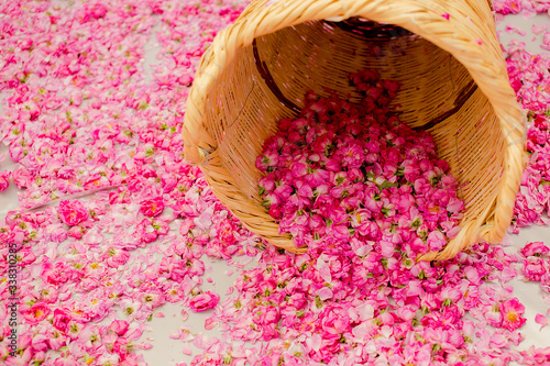 Rose festival in Cyprus village Agros