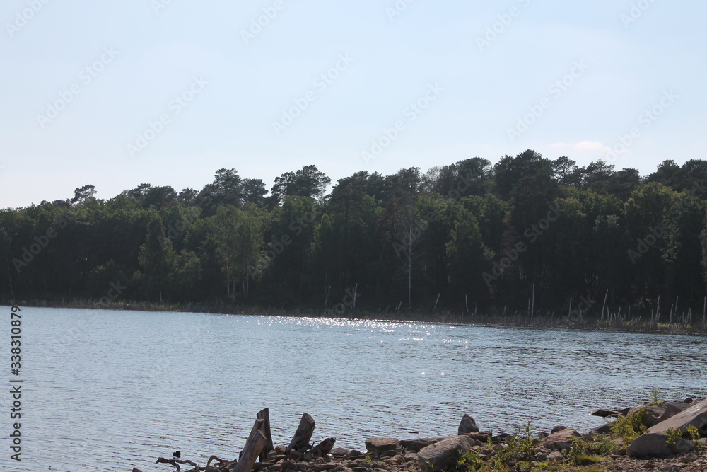 ducks on the river