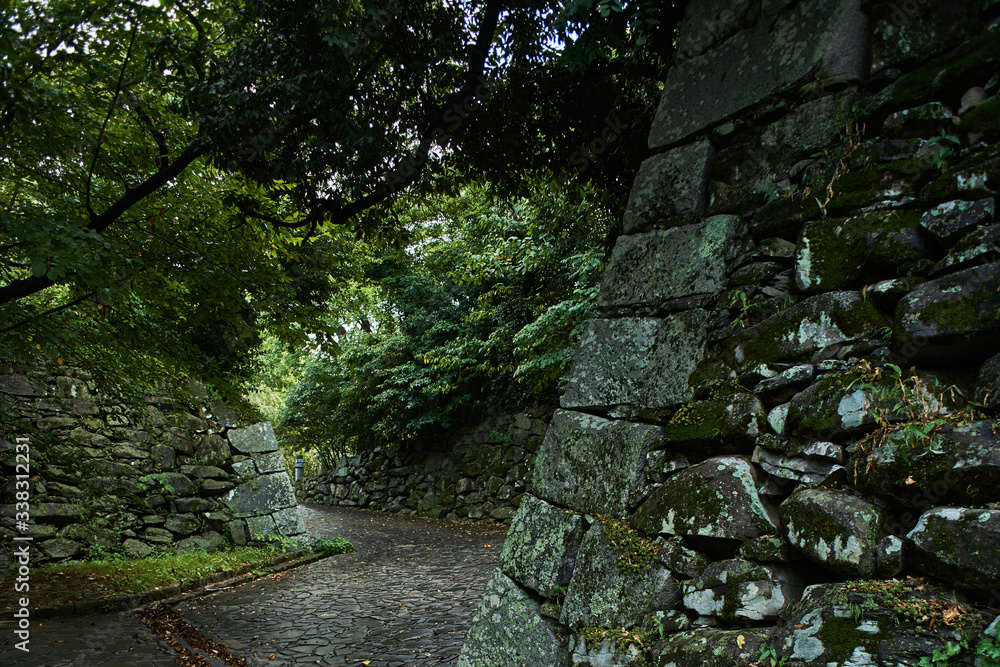 Fototapeta premium Forest Path with Stone Wall, Quiet Nature Landscape