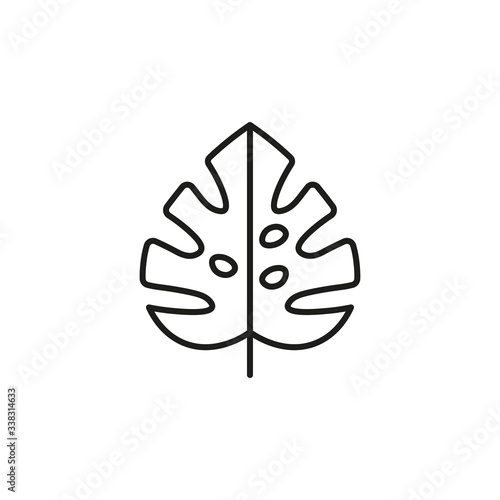 Monstera leaf icon vector on white background