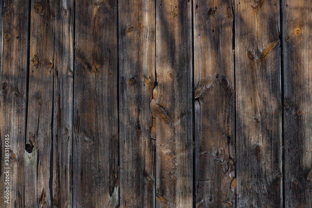 Fototapeta premium Tekstura z drewna.