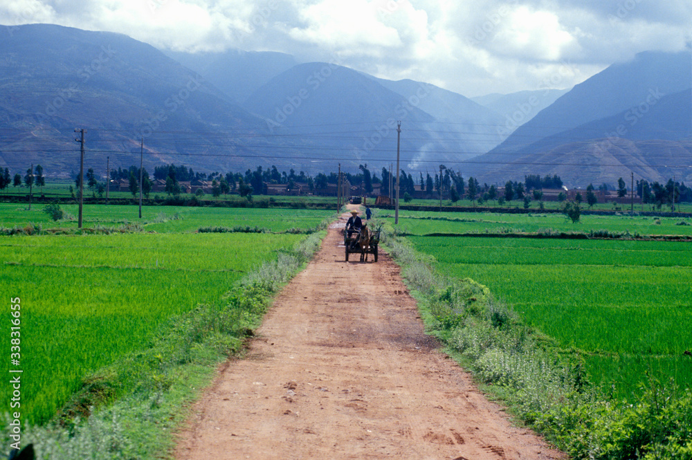 Horse drawn cart heading down road in Dali, Yunnan Province, People's Republic of China