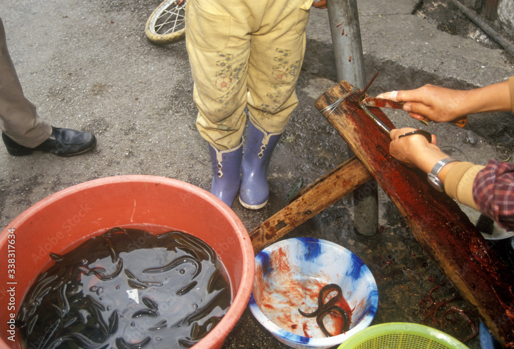 Preparing eels in Bei Marketplace in Dali, Yunnan Province, People's Republic of China