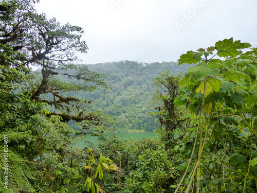 Rain Forest in Arenal Volcano National Park in Costa Rica