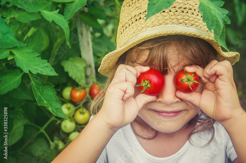 A child in a garden with tomatoes. Selective focus.