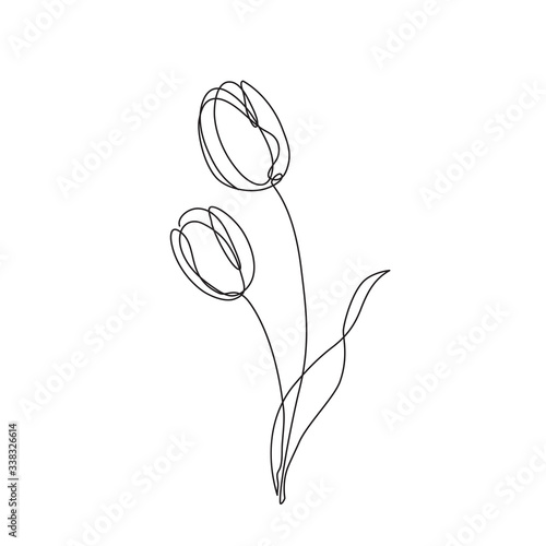 Photo Two Tulips flower continuous line drawing. Vector illustration