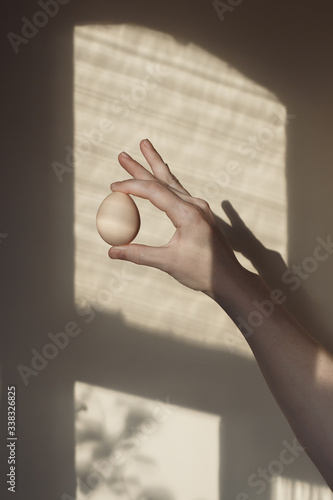 Egg in a hand on a light background. Creative background from shadows of woman's hand with egg against background.
