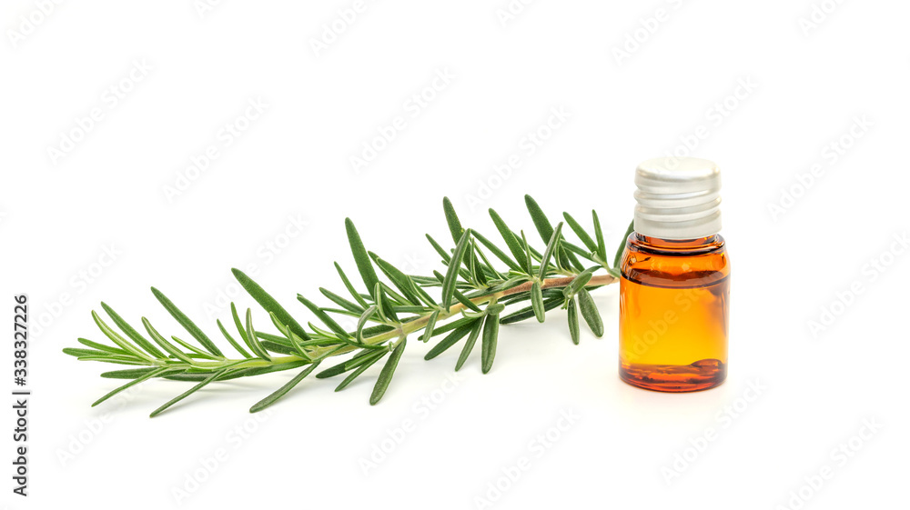 Rosemary oil and rosemary plant on a white background. Rosemary oil and rosemary plant on a white background.