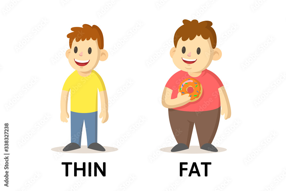 Words thin and fat textcard with cartoon characters. Opposite adjectives explanation card. Flat vector illustration, isolated on white background.