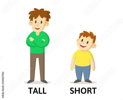 Words tall and short textcard with cartoon characters. Opposite adjectives explanation card. Flat vector illustration, isolated on white background.