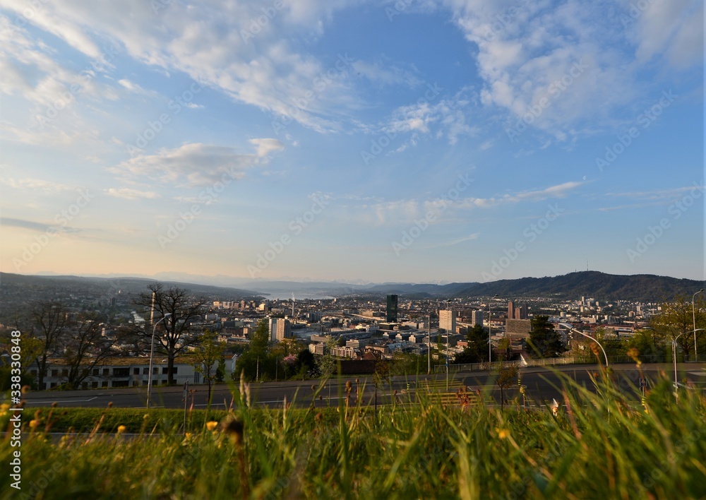 the city of Zurich Switzerland in the morning with the Alps in the background and grass in the foreground from the waid