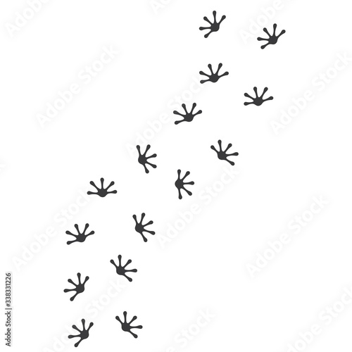 gecko footprint vector illustration design