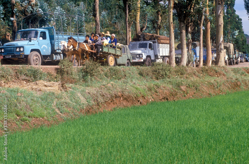 Horse drawn carts overtaking trucks in traffic jam in Dali, Yunnan Province, People's Republic of China Horse drawn carts overtaking trucks in traffic jam in Dali, Yunnan Province, People's Republic of China
