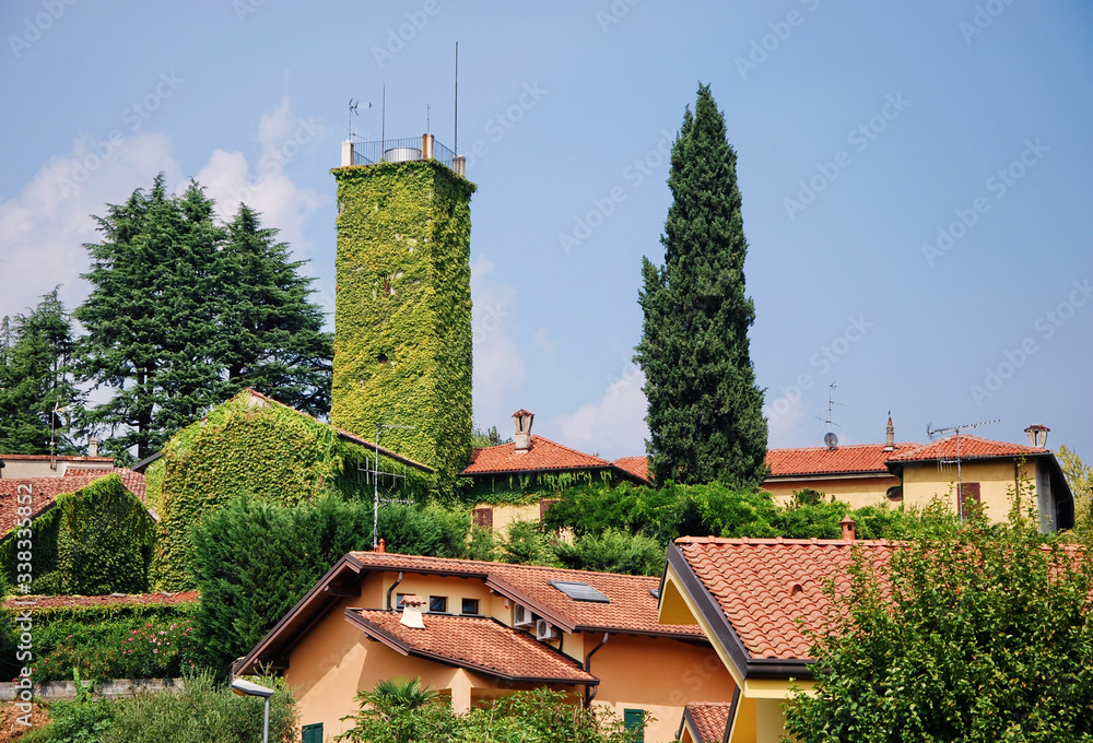 Torre completamente ricoperta di edera verde a Garbagnate Monastero in provincia di Lecco Torre completamente ricoperta di edera verde a Garbagnate Monastero in provincia di Lecco