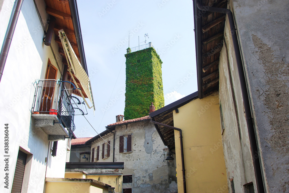 Torre completamente ricoperta di edera verde a Garbagnate Monastero in provincia di Lecco Torre completamente ricoperta di edera verde a Garbagnate Monastero in provincia di Lecco