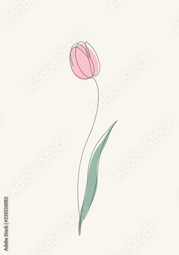Tulip flower line drawing art. Abstract minimal style. Vector illustration