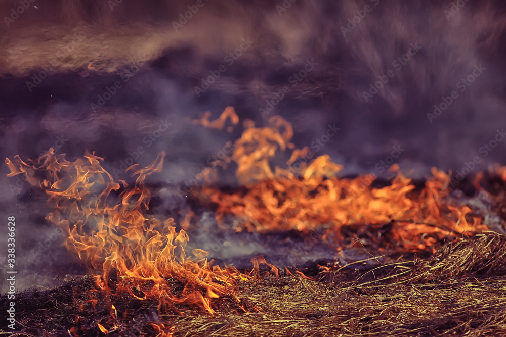 fire in the field / fire in the dry grass, burning straw, element, nature landscape, wind