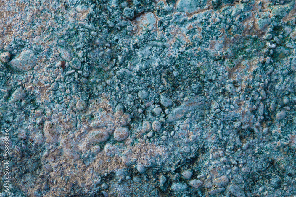 Obraz premium Wetted bulk concrete covered with small water algae. Concrete near water texture.