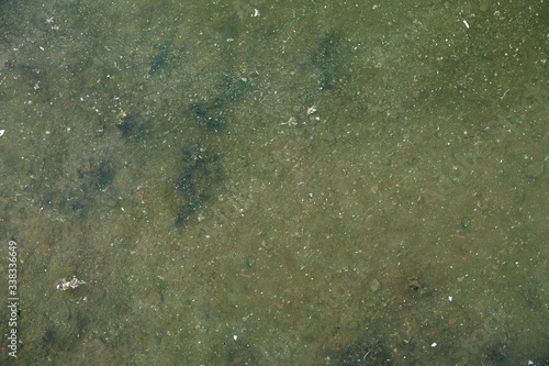 Konstfotografi Texture of bleary water in the pond. Froggy pond water texture.