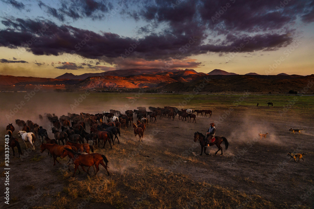 Native cowboys graze their horses. Hundreds of years old horse lives on the slopes of Mount Erciyes.