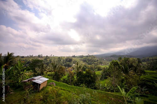 Beautiful views of the rice terraces of Jatiluwih in Bali, Indonesia